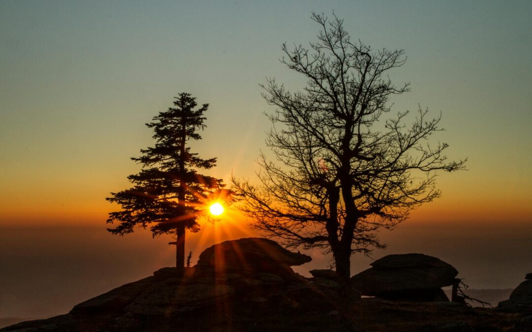 ¡Él es Dios con nosotros!